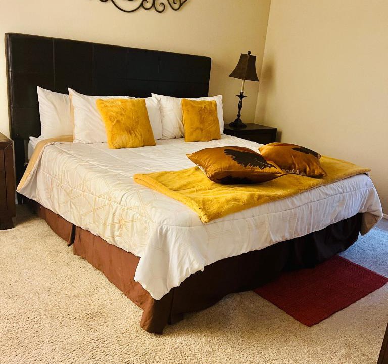 Astrodome Apartment | A Laid Back 2 BR 2 BT Patio Near NRG Arena Theatre Medical Center Rental Car Available
