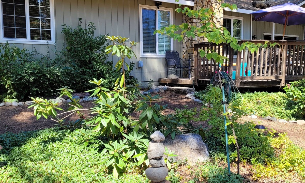 Pollock Pines House | A Mountain Rose, Sly Park-LAKE, APPLE HILL, Wine, swim, snow, FUN! EVs welcome