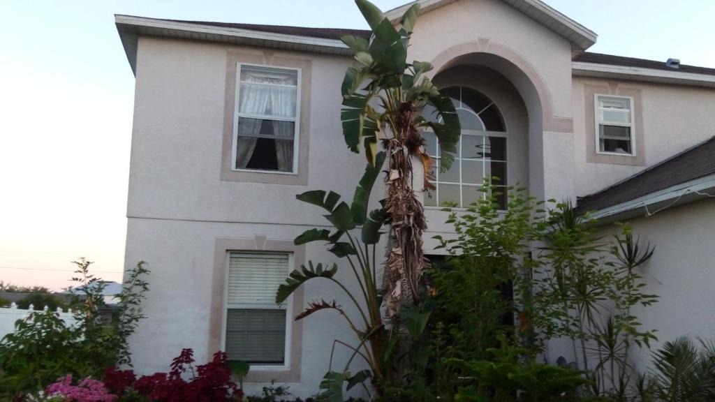 Poinciana House | A Perfect Place to Stay