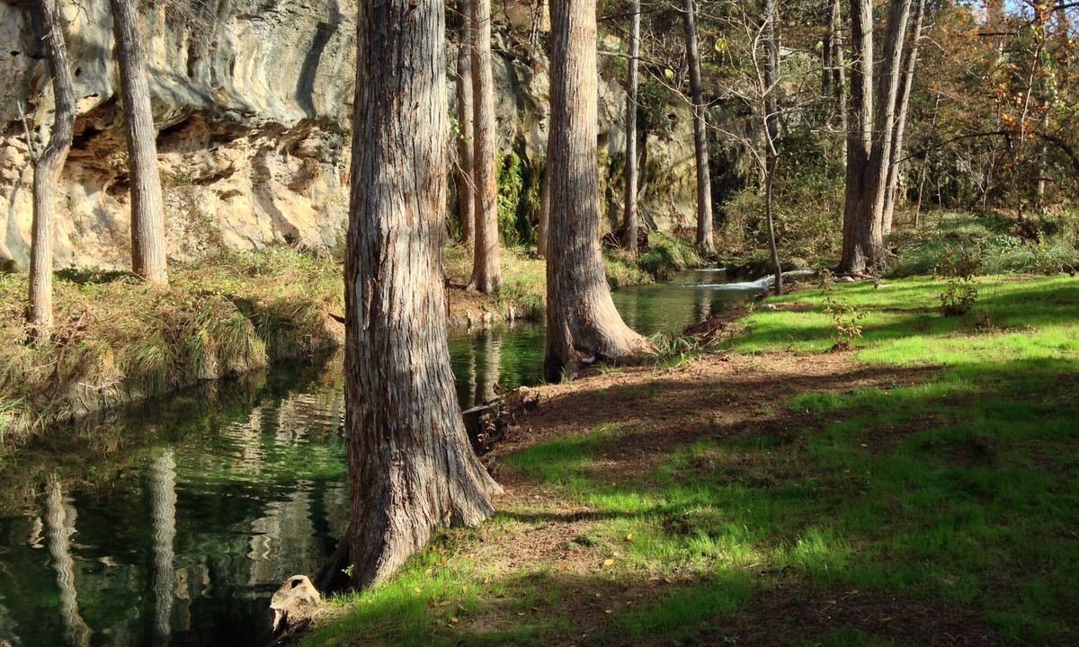 Pedernales Canyon Ranch House | A Perfect Spring Getaway with a Natural Spring Swimming Hole!