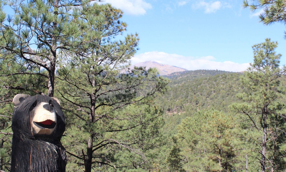 Ruidoso Cabin | A playful cabin nestled above the tall pines