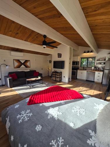 Douglas County House | A Restful Studio Near a Creek and Forest - Pet Friendly