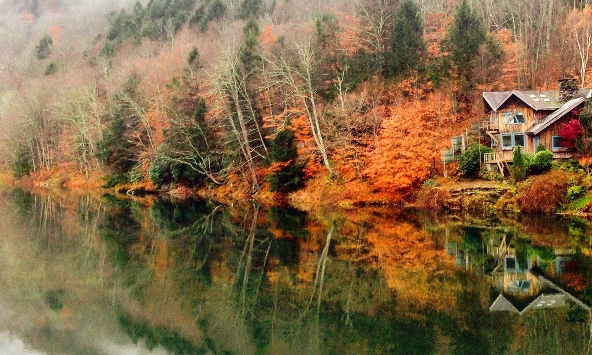 East Branch House | A river runs through it