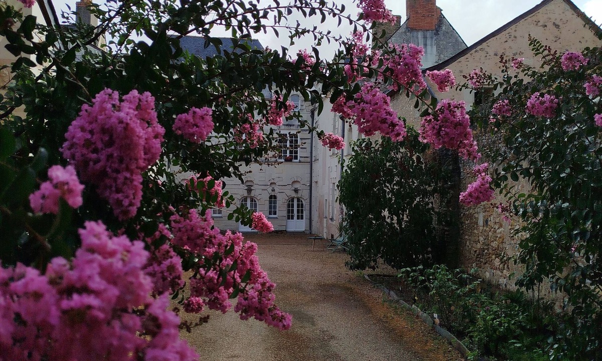 Montreuil-Bellay House | A timeless interlude.
