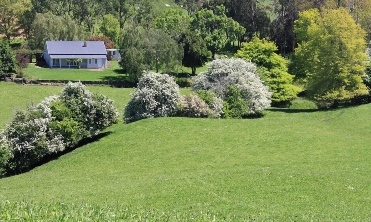 Halcombe Cottage | A tranquil country cottage