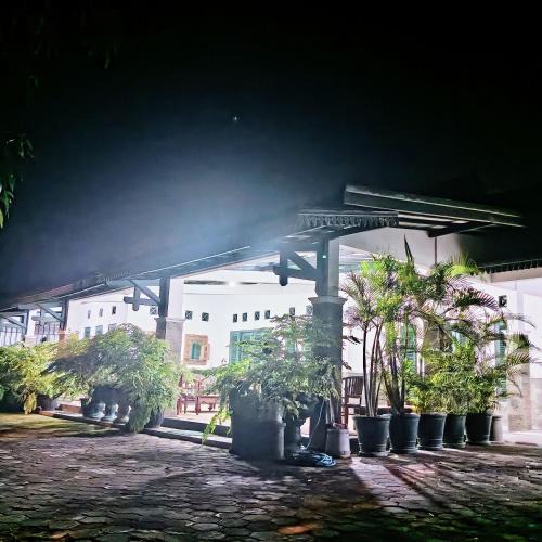 Jetis House | Adiyantum Homestay