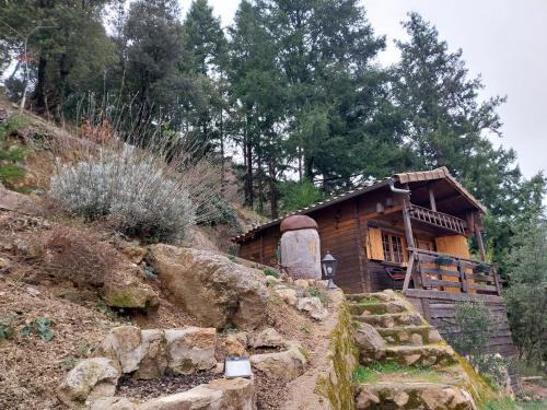 Saint-Sauveur-de-Montagut Apartment | Adorable chalet au coeur de l'Ardèche