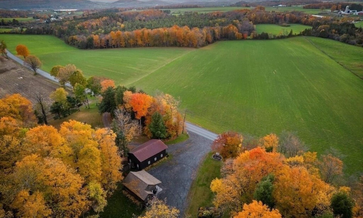 Warren Cabin | Adorable Cabin. Cozy & comfy. Coffee bar, firepit, horseshoes, hammock, grill