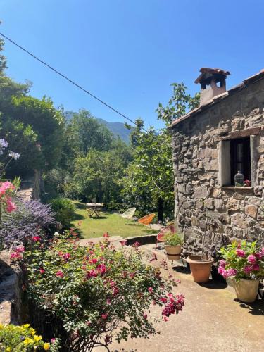 La Bollene-Vesubie House | Adorable gîte - Le figuier