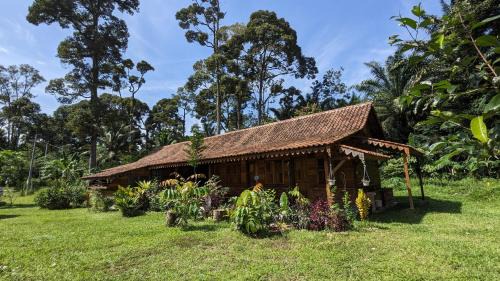 Ipoh Other | Adventure Cottage