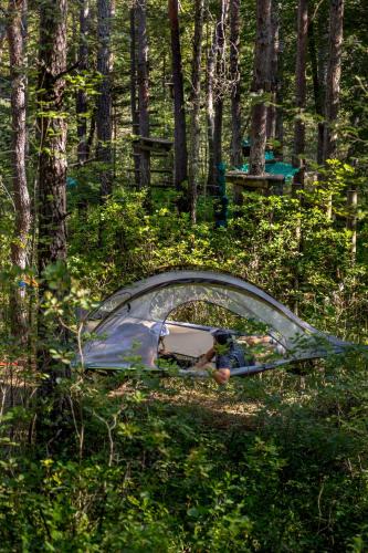 Castellane Other | Adventure Forest