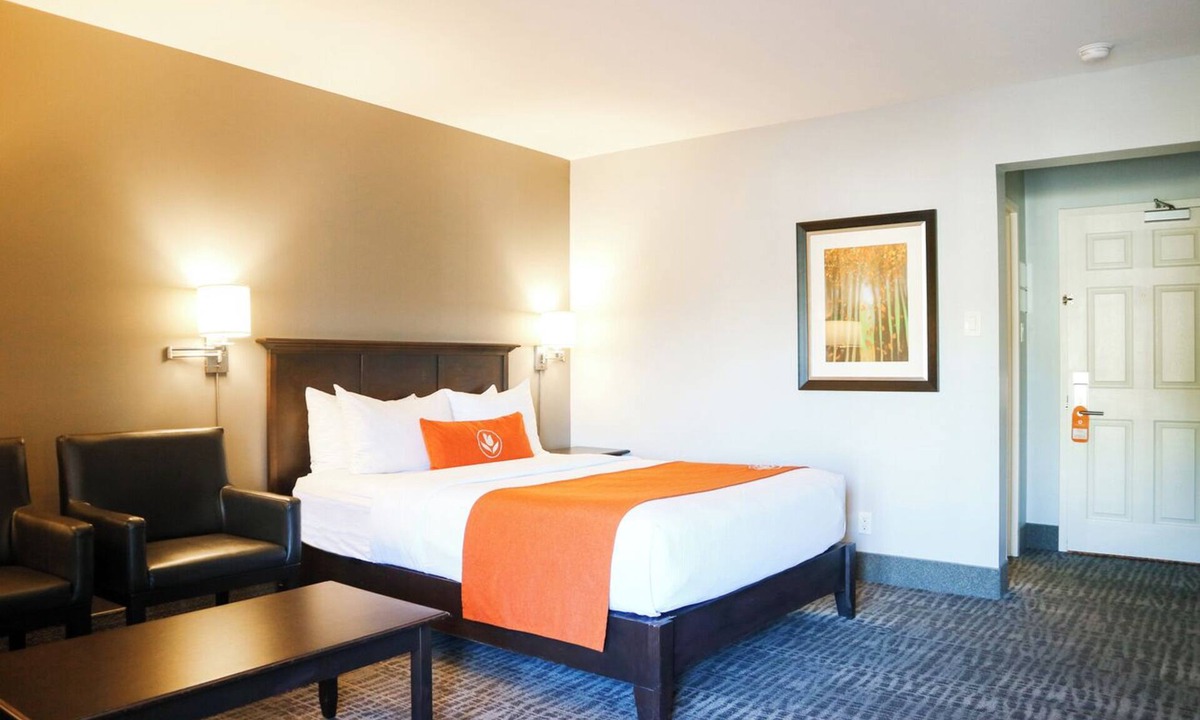Sussex Hotel | Adventure-Ready Haven | Near Nature Trails, Mountains & Coastal Wonders