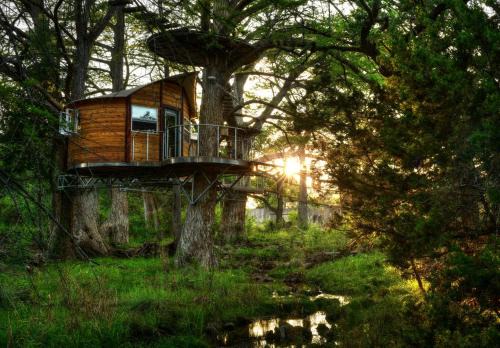 Spicewood House | Adventures Await at this Stunning Tree House Retreat in Texas