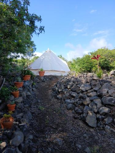 Discovery Harbour Other | Affordable Hawai'i