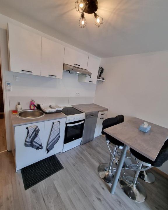 Massignieu-de-Rives Apartment | Agréable appartement