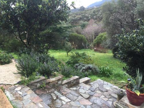 Furiani Apartment | Agréable bas de villa