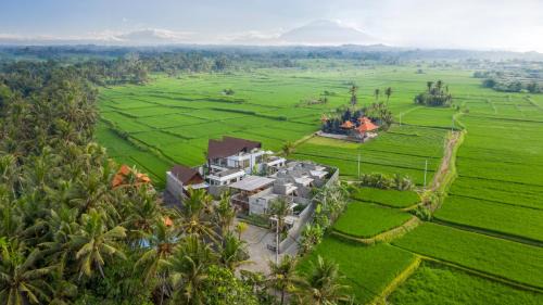 Ketewel Hotel | Agrapana Beach Villa with True Exotic Balinese Experience