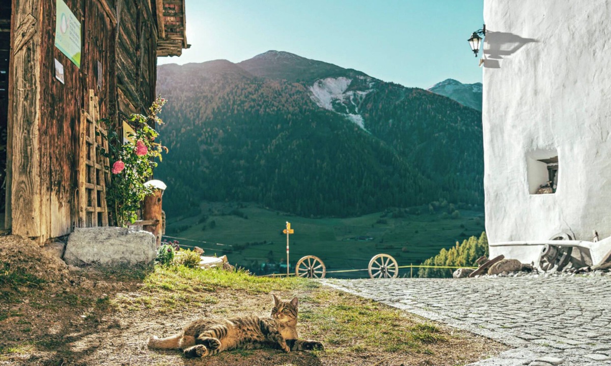 Val Muestair Apartment | Agrotourismus Pütschai Josom, (Sta. Maria - Santa Maria Val Müstair). by Interhome
