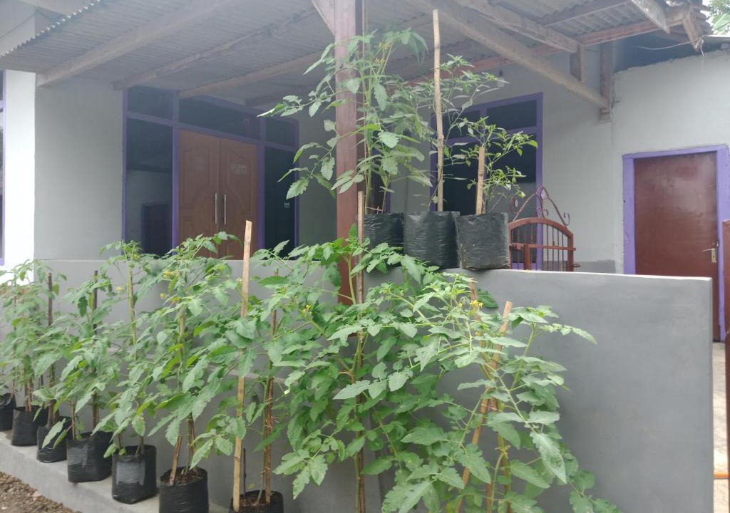 Kecamatan Pringgasela House | Ahim Homestay