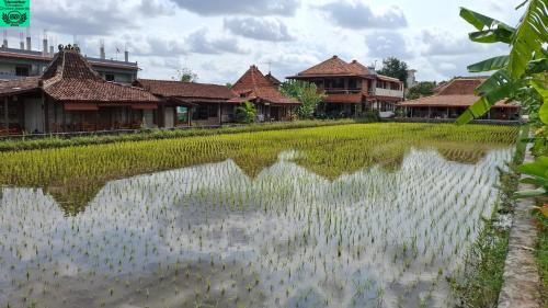 Sleman House | Alamanda Villas, Family Villas, Pool & Local Tours