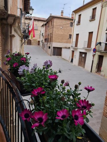 Los Arcos Hostel | Albergue Casa Arqueña, sólo peregrinos