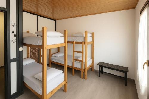 Villanua Hostel | Albergue Tritón - Villanúa