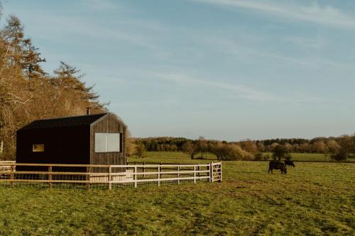 Newcastle-Under-Lyme House | Alcor