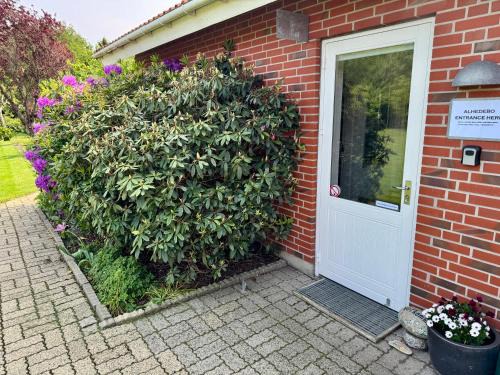 Sunds Apartment | Alhedebo