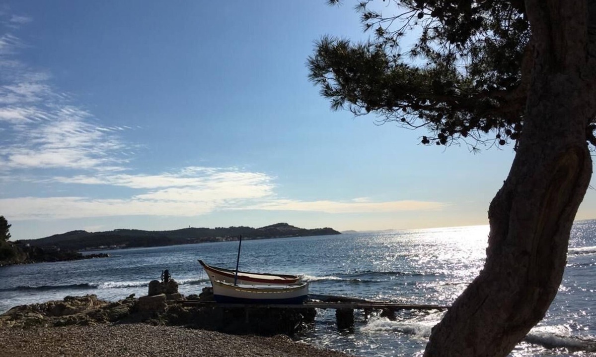 La Nartelle Apartment | "Alienor, a charming apartment in a pine forest