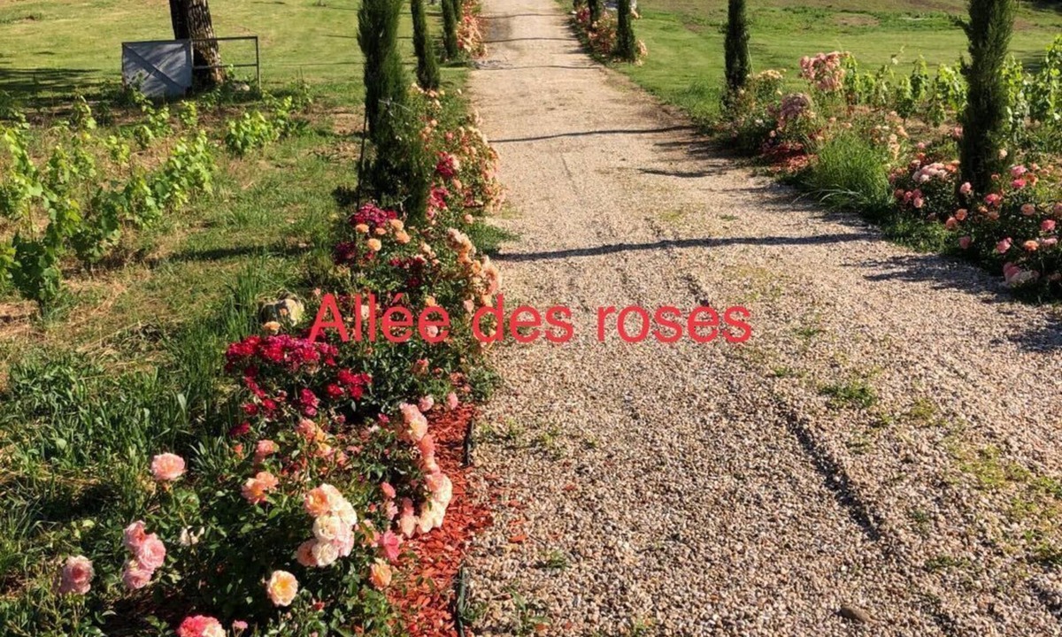 Saint-Philippe-dAiguille House | Allée des roses L’atelier