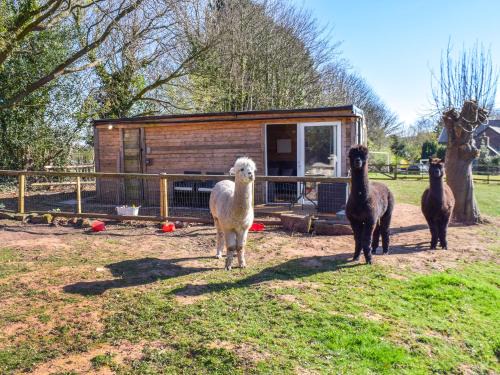 Little Leigh House | Alpaca Lodge
