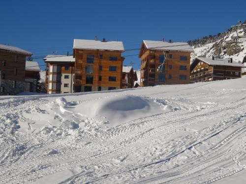 Riederalp Apartment | Alpenresort B22