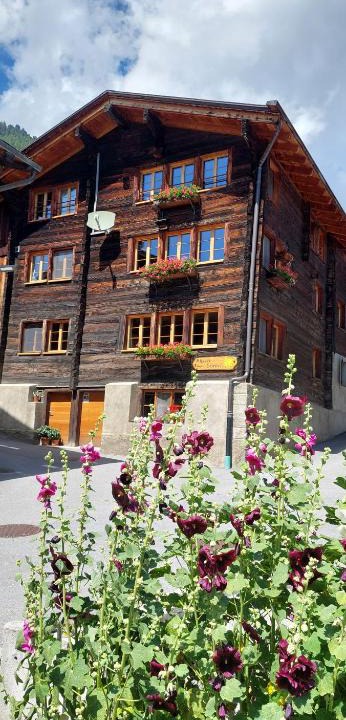 Gluringen Apartment | Alpensonne