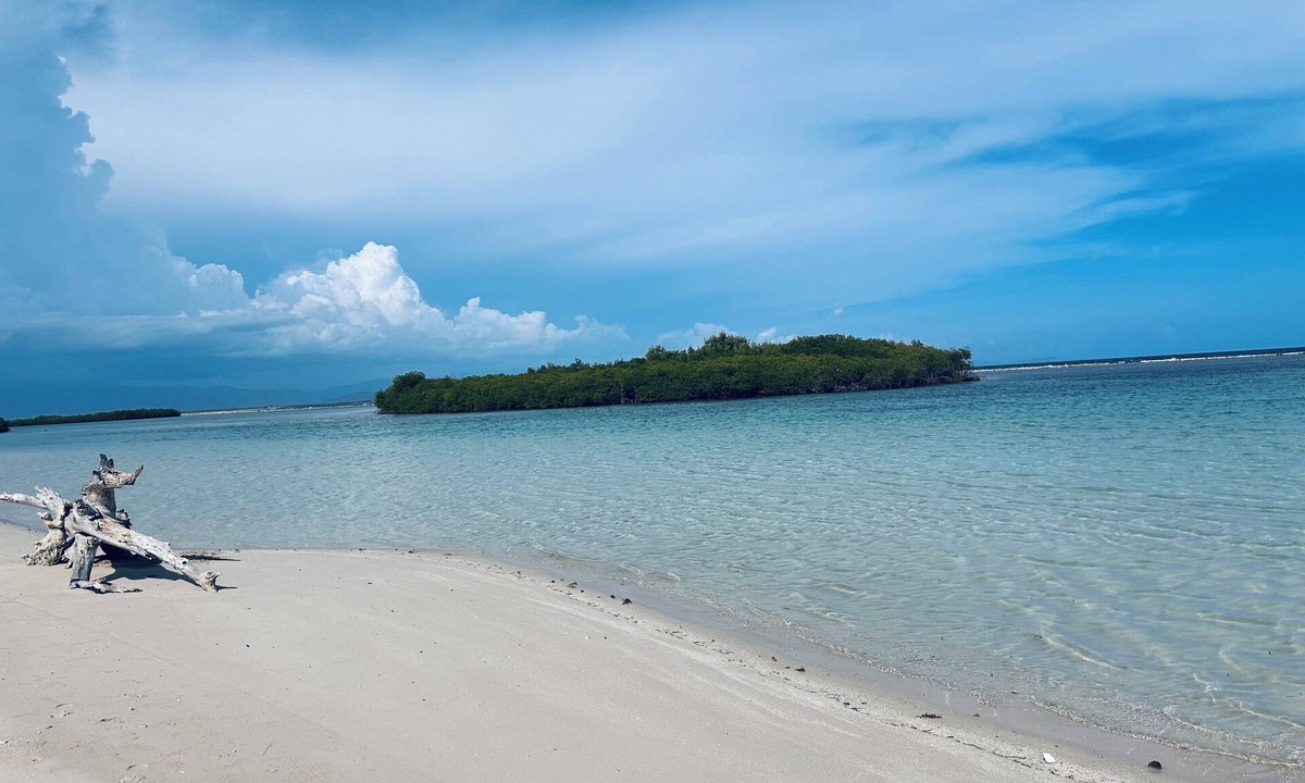 Azua Cabin | Alpine Cabin with Stunning Ocean View