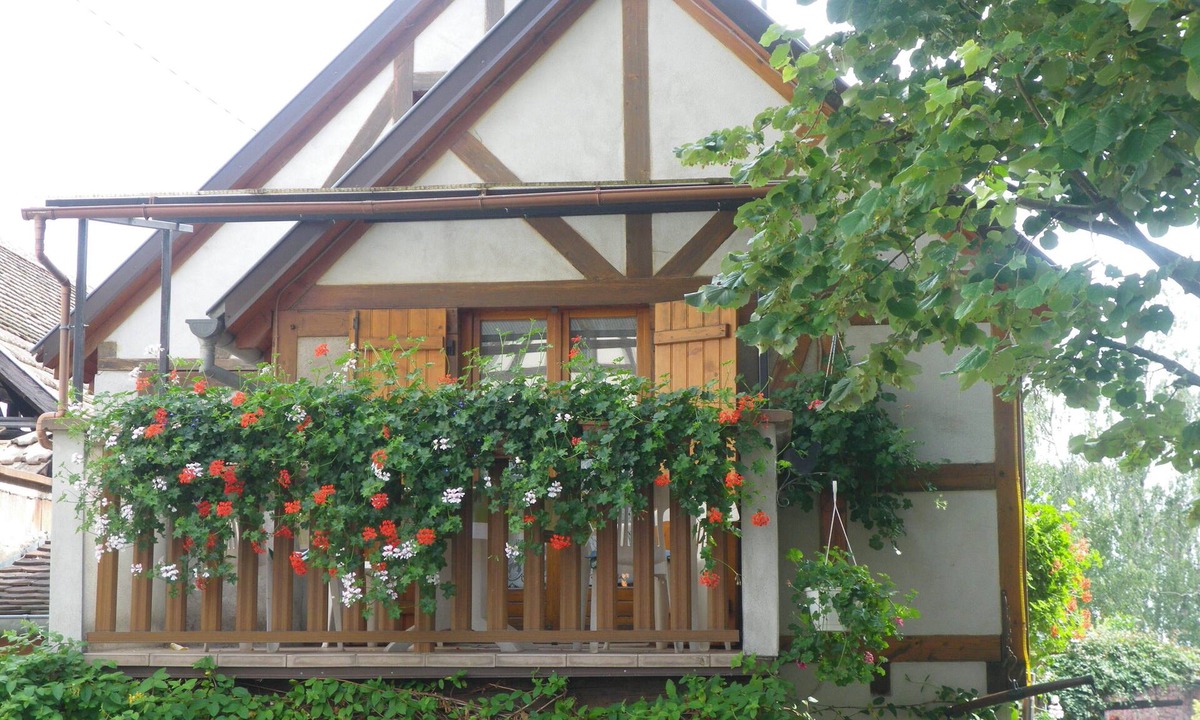 Kintzheim Cottage | Alsace style timber framed house