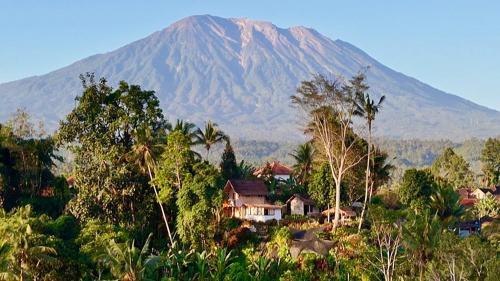 Selat House | Alvarina