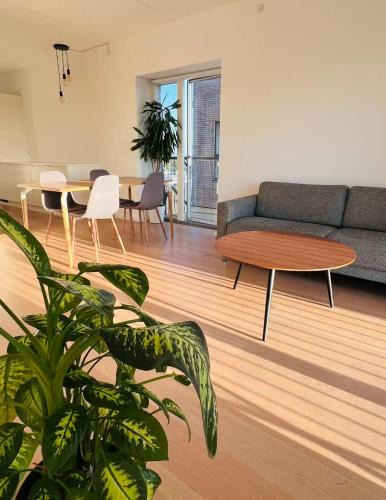 Kjellerup Apartment | Ama Hyg Atelier Copenhagen Royal Arena 2 Bedrooms Apartment