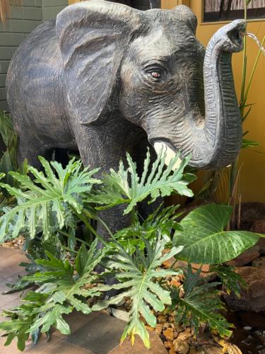 Dubbo House | Amani Lodging