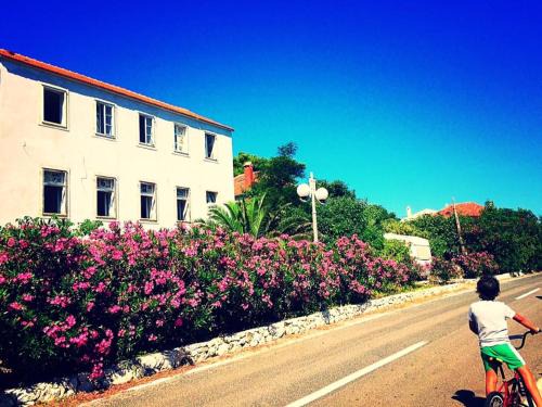 Veli Rat Bed & Breakfast | Amarcord Skola