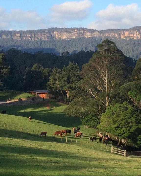 Barrengarry Villa | Amaroo Valley Springs