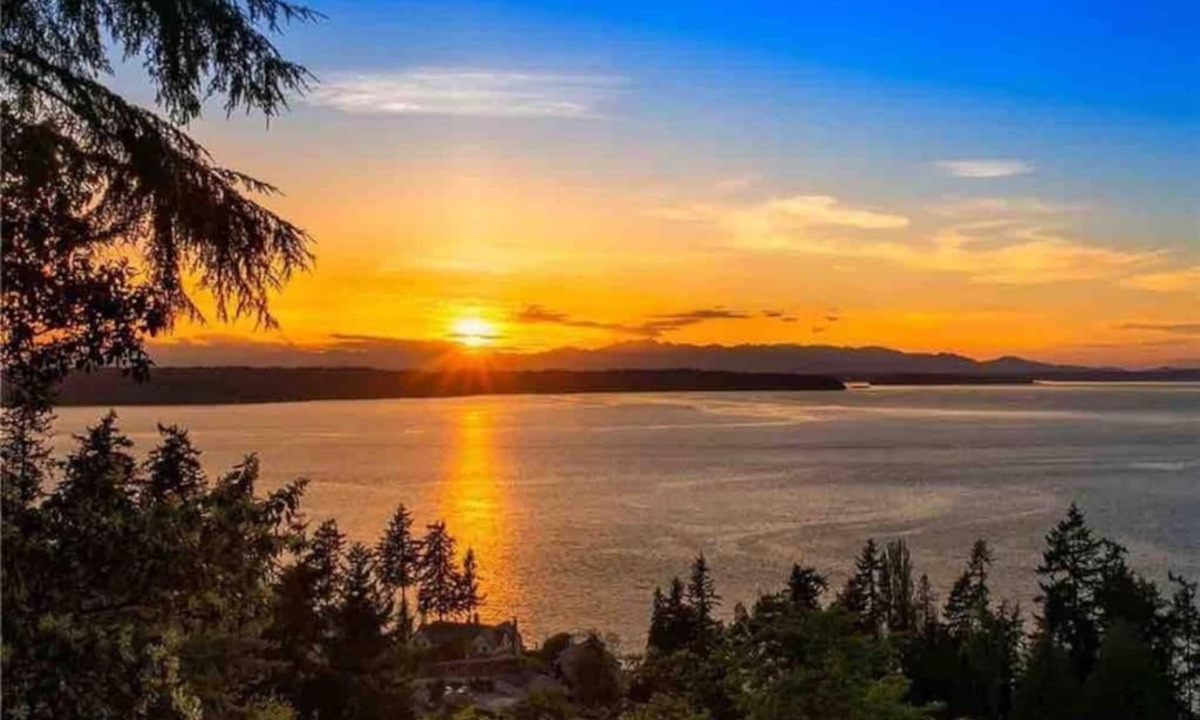 Three Tree Point Apartment | Amazing Puget Sound View House (Studio)