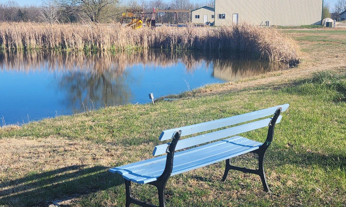 Richland Apartment | Amazing Stargazing! Ozarks Retreat on Working Farm