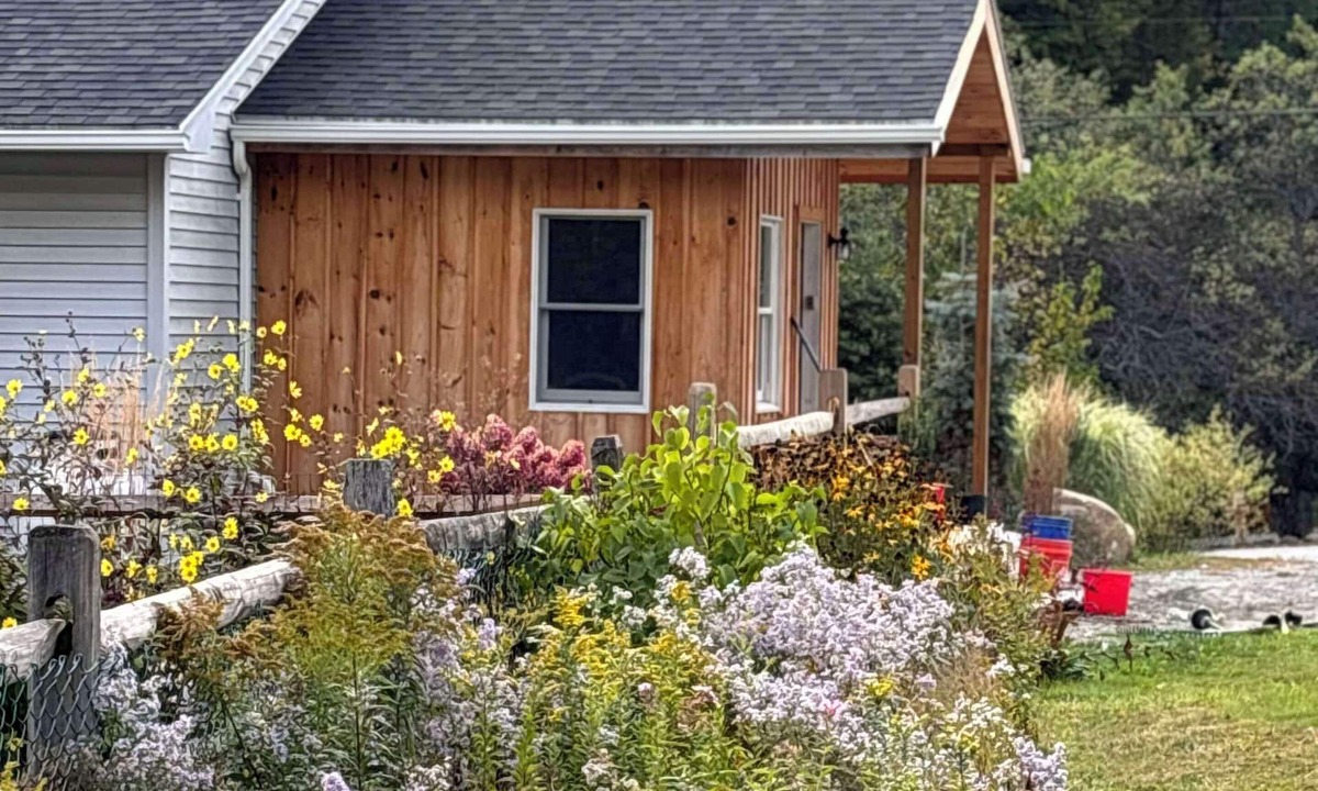 Ludlow House | AMAZING SUMMER OASISnSwimming Pool-Hot Tub -Sauna-Pool Table-Ping Pong-Fire Pit