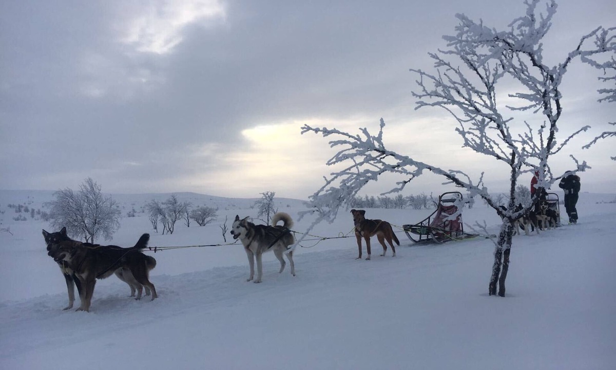 Mount Buller Hostel | Amber Lodge Mt Buller - Hostel