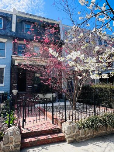 Bloomingdale Apartment | Amma's Place