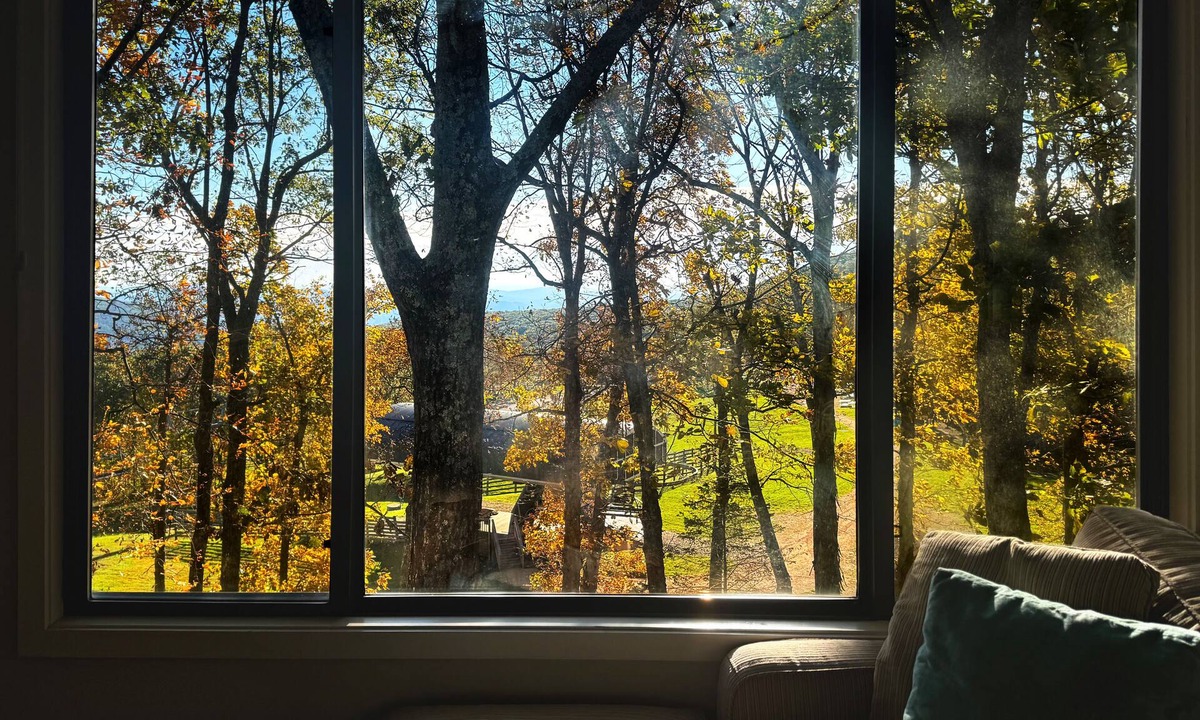 Wintergreen Condo | Among the Trees: Trails+Tastings+Relaxation Hub