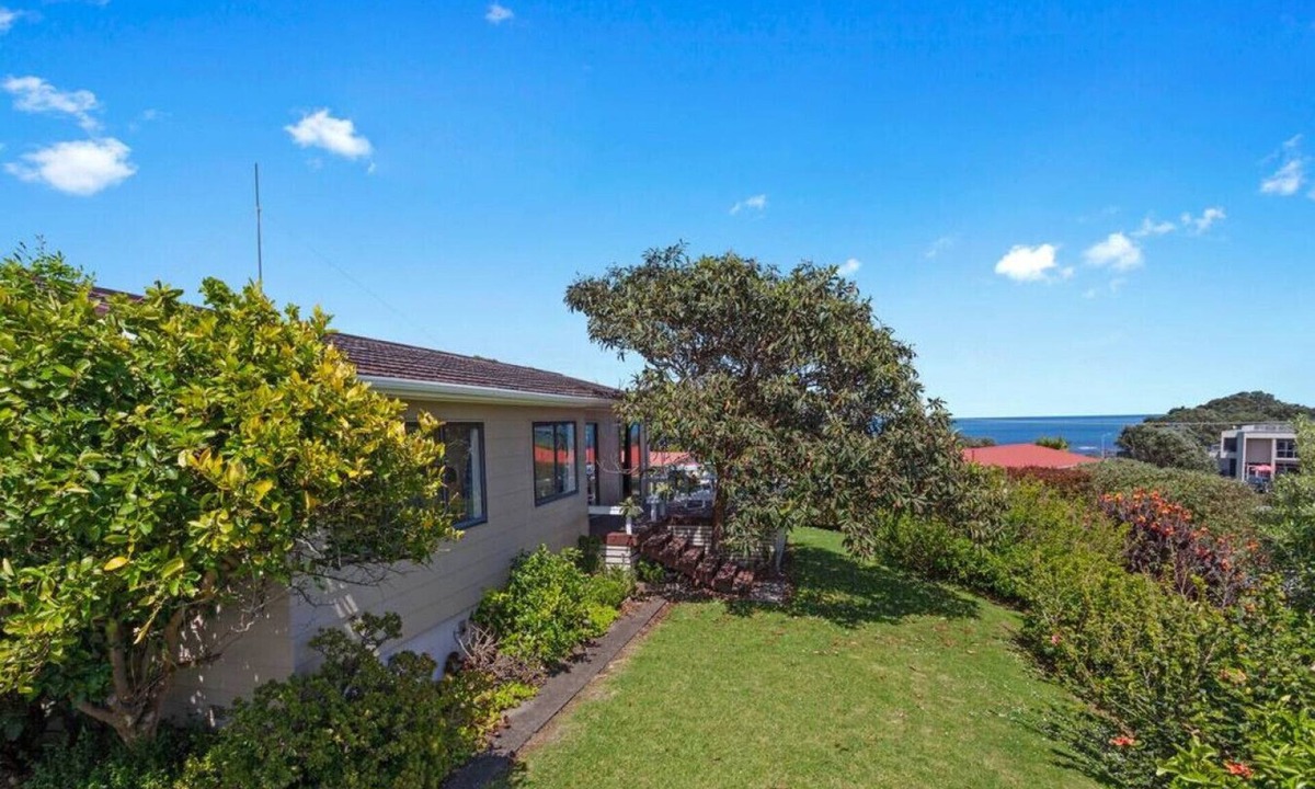 Te Kaha House | Amongst the Action - Te Kaha