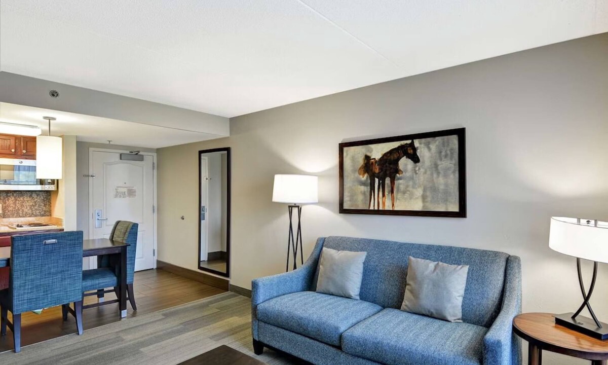 Lexington Hotel | An Accommodation for Family or Fur Parents | Free Breakfast and On-Site Parking
