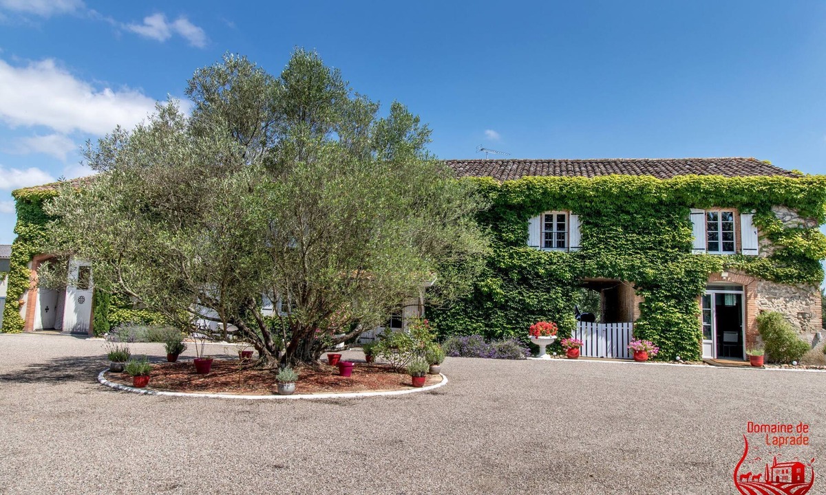Graulhet House | An area of tranquility, comfort and simplicity.