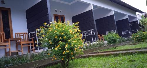 Bayan House | Anak Rinjani Guest House